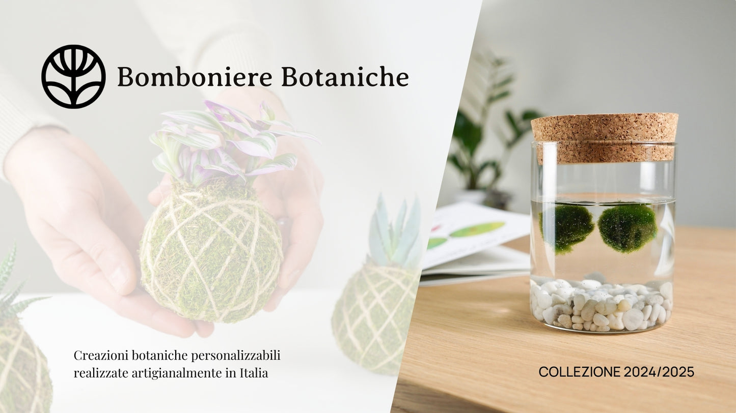 Catalogo Bomboniere