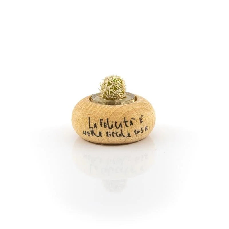Cactus Bonsai Original Snowy Cactus