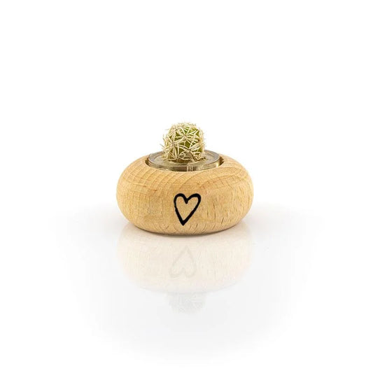 Cactus Bonsai Original Snowy Cactus
