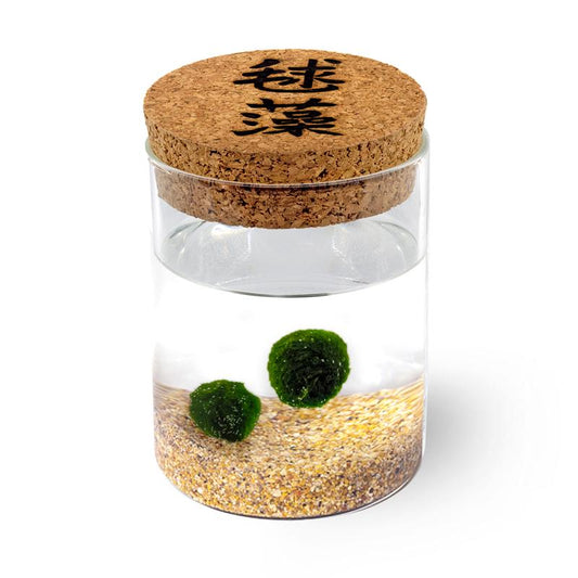 Marimo Original - Ideogramma | Coppia