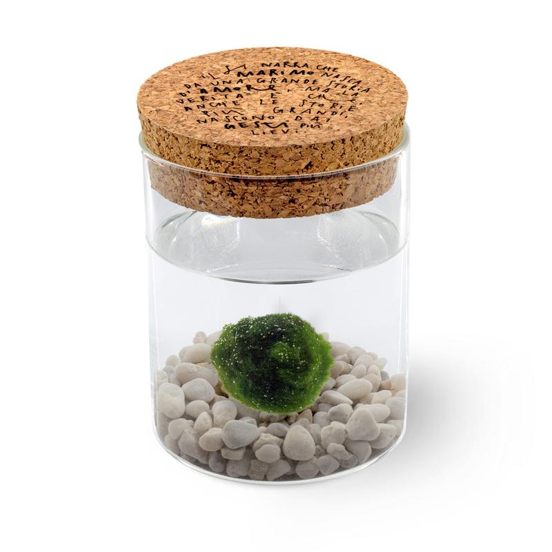 Marimo Original - Leggenda | Singolo