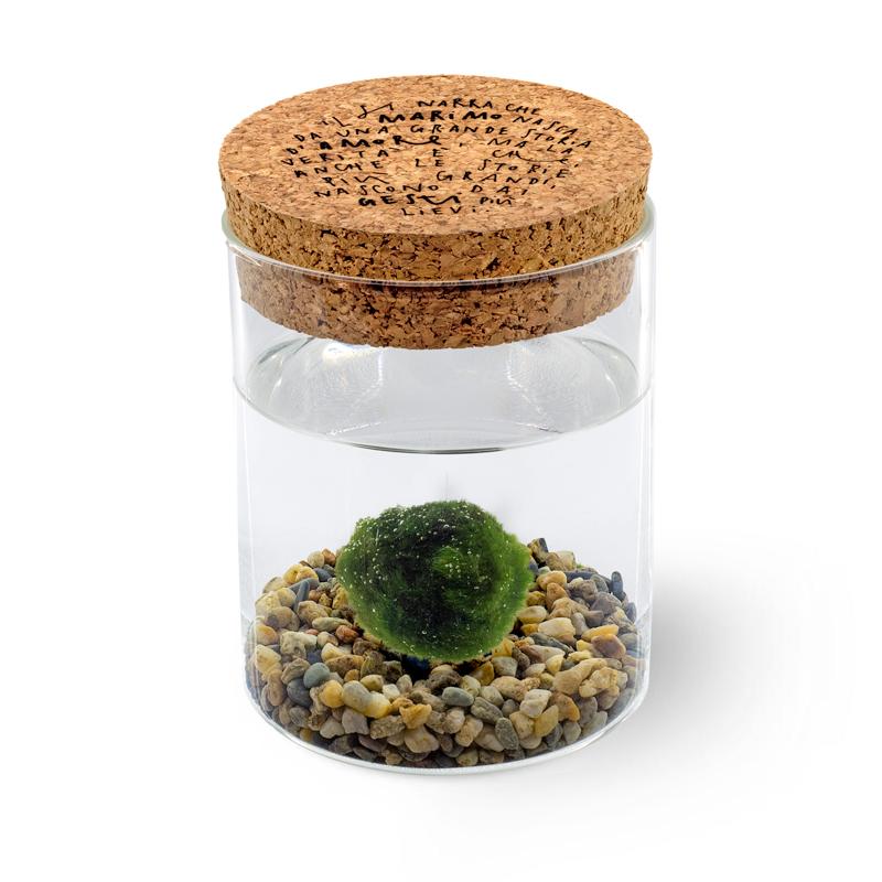 Marimo Original - Leggenda | Singolo