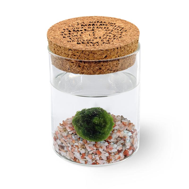 Marimo Original - Leggenda | Singolo