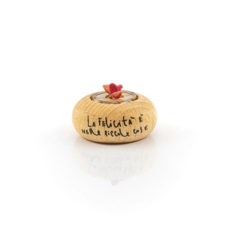 Cactus Bonsai Original Stone Rose