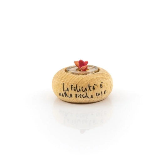 Cactus Bonsai Original Stone Rose