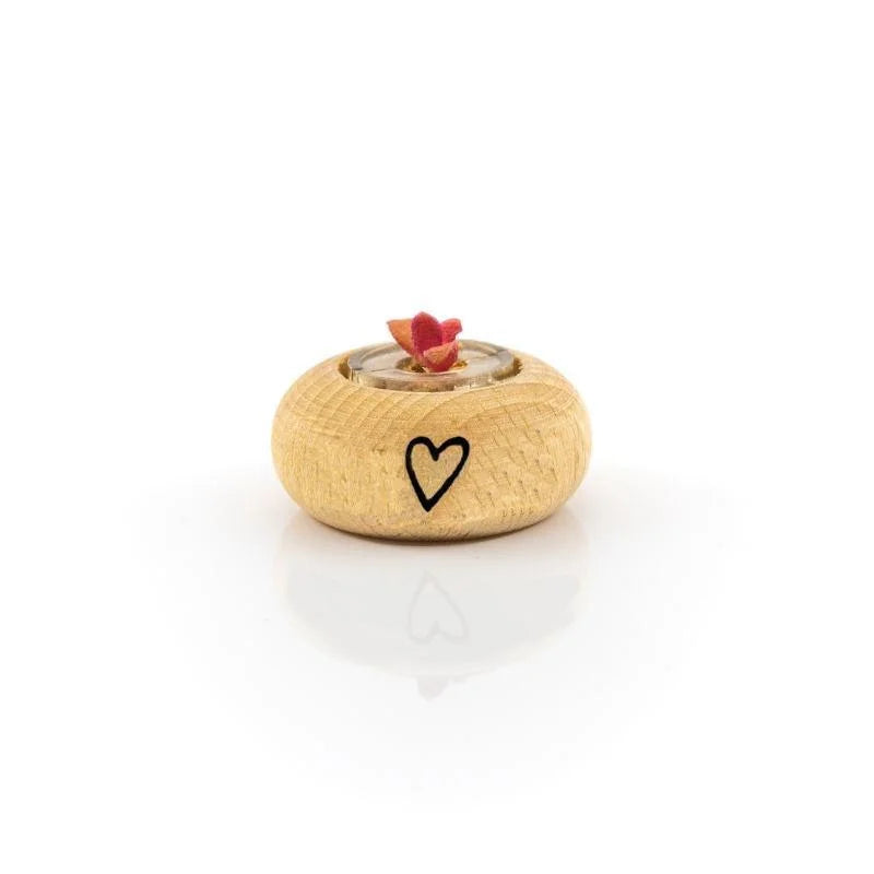 Cactus Bonsai Original Stone Rose